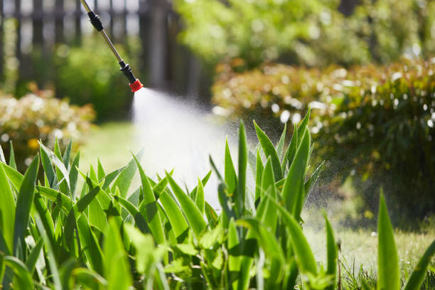 24/7 Emergency Cockroach Control experts in Kentwood, MI